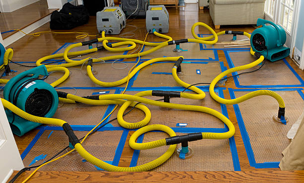 Professional Burst Pipe Water Damage technician working in Maurice, LA